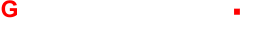 G - netronics       global - network - electronics